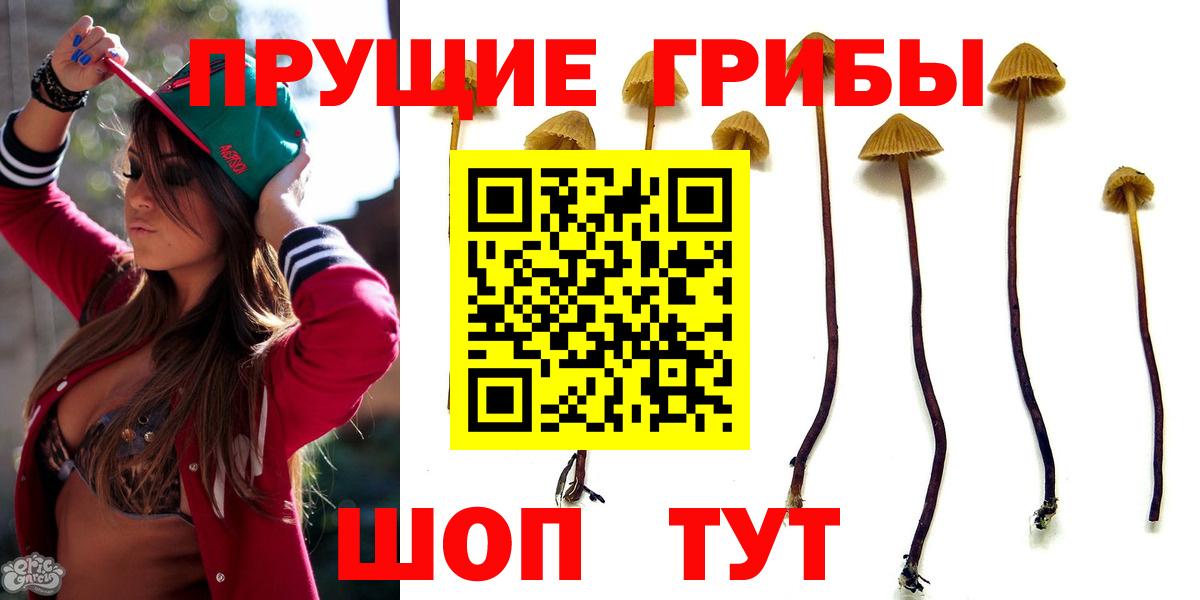 Железногорск  Галлюциногенные грибы прущие грибы  где купить   Псилоцибиновые грибы ЛСД  Вход с VPN 